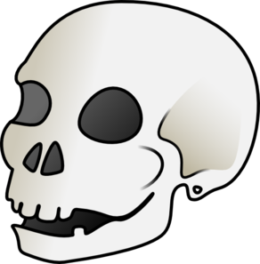 Cartoon Skull Clip Art